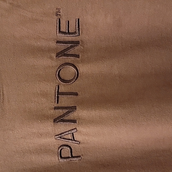 Panetone x Forever 21 | Brown Embroidered T Shirt - Picture 3 of 11